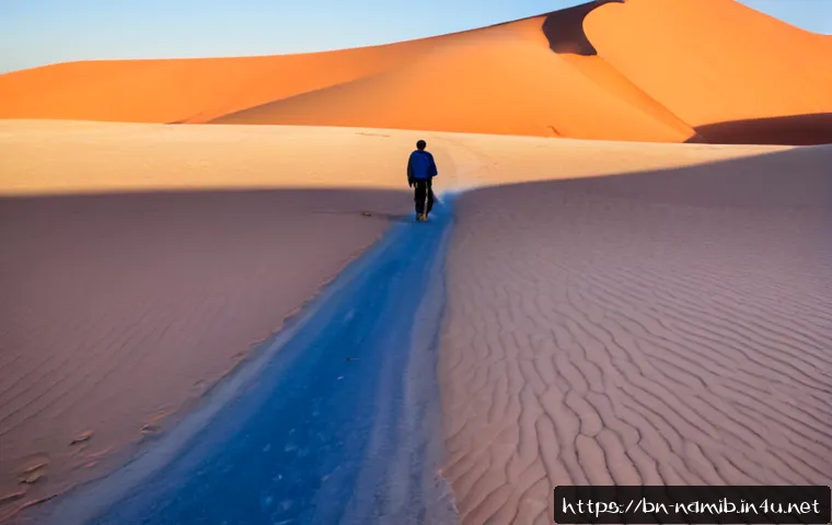 나미비아 소서스블레이 사막 여행 - Photorealistic sunrise panorama of Sossusvlei Desert, Namibia, towering burnt-orange sand dunes cast...